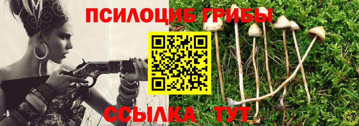Псилоцибиновые грибы мицелий  Вход с VPN  Октябрьский 