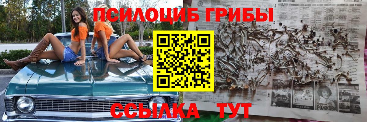 Псилоцибиновые грибы Psilocybine cubensis Октябрьский